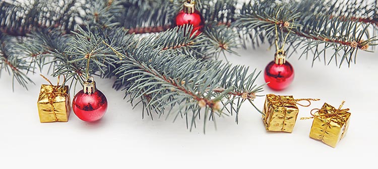 Noel / Giáng sinh: Noel tới rồi! Hình ảnh đầy màu sắc với những chiếc đèn lấp lánh, cây thông trang trí lung linh và những món quà đầy ý nghĩa chắc chắn sẽ làm nên một không khí Giáng sinh Địa Trung Hải đích thực. Bạn cam kết sẽ yêu thích những hình ảnh huyền thoại về Noel trong bộ sưu tập này.