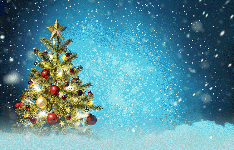 Cảm nhận không khí Giáng Sinh tràn đầy cảm hứng với hình ảnh cây thông Noel được trang trí đầy màu sắc dưới cơn tuyết rơi. Mẫu nền thư độc đáo này sẽ mang đến cho bạn cảm giác ấm áp và mộc mạc của mùa đông.