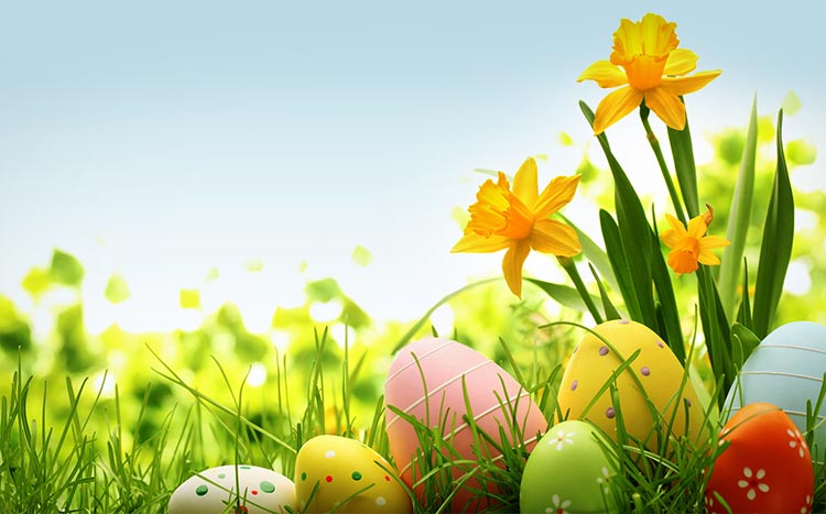 Thư Trứng Easter & Hoa Vàng: Hãy cùng đón mùa lễ hội cuối năm với Thư Trứng Easter và Hoa Vàng. Với gam màu sáng tạo và bố cục tốt, hình ảnh này đem lại cảm giác vui tươi, hạnh phúc và đầy niềm vui. Hãy cùng mơ ước và hy vọng vào một năm mới đặc biệt của bạn!