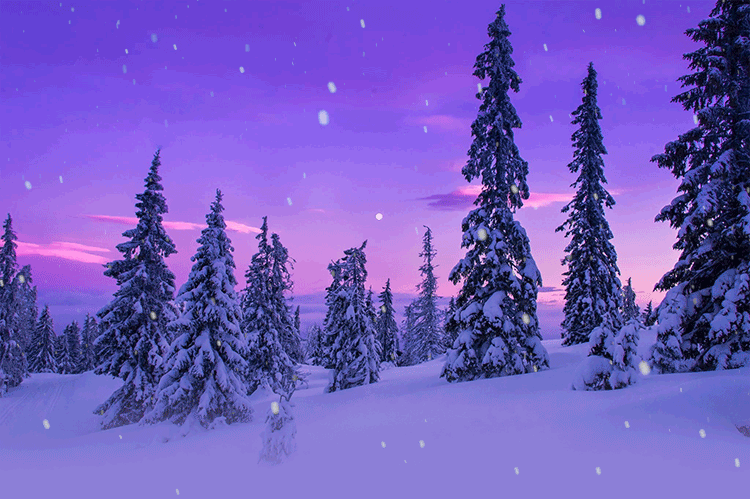 Thư Ảnh Động Tuyết Rơi: Hãy để thiên nhiên đưa bạn vào thế giới của cơn bão tuyết qua những thư ảnh động tuyết rơi đẹp mắt. Bạn sẽ cảm nhận được sự rung động của những hạt tuyết rơi nhẹ nhàng, tràn ngập trong không khí lạnh giá mà không cần phải rời khỏi nhà.